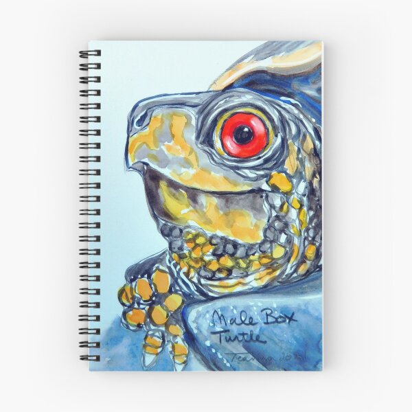 Item preview, Male box turtle designed and sold by swordwhale.