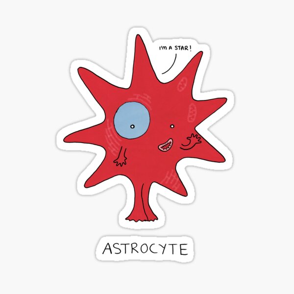 Item preview, Astrocytes are stars! designed and sold by Cartoon Neuron by Immy Smith.