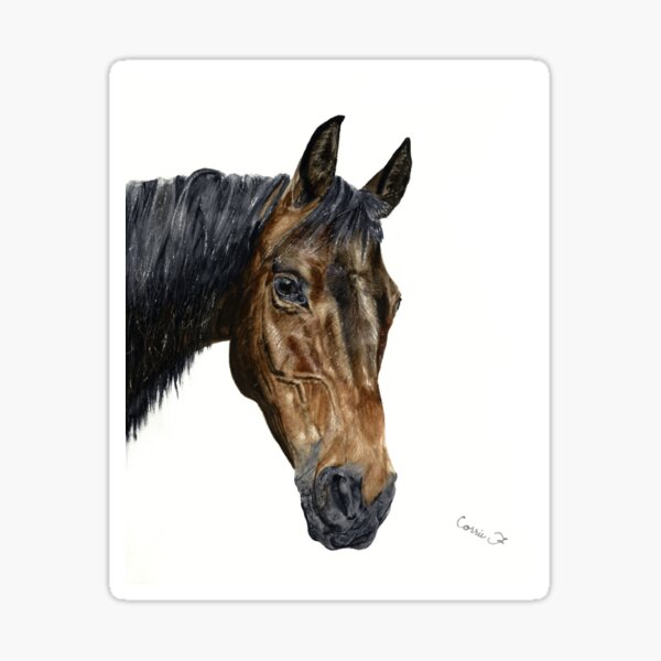 Watercolor Horse Portrait Sticker
