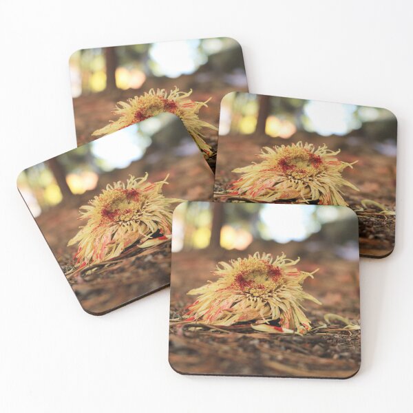 Item preview, Dry Flower designed and sold by Francisca Dias.