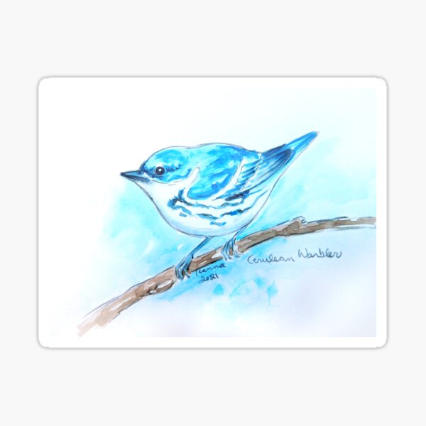 Cerulean warbler Sticker