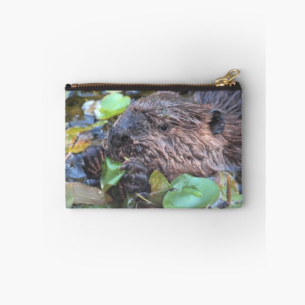 Item preview, Mr. Nibbles designed and sold by Carl Olsen.