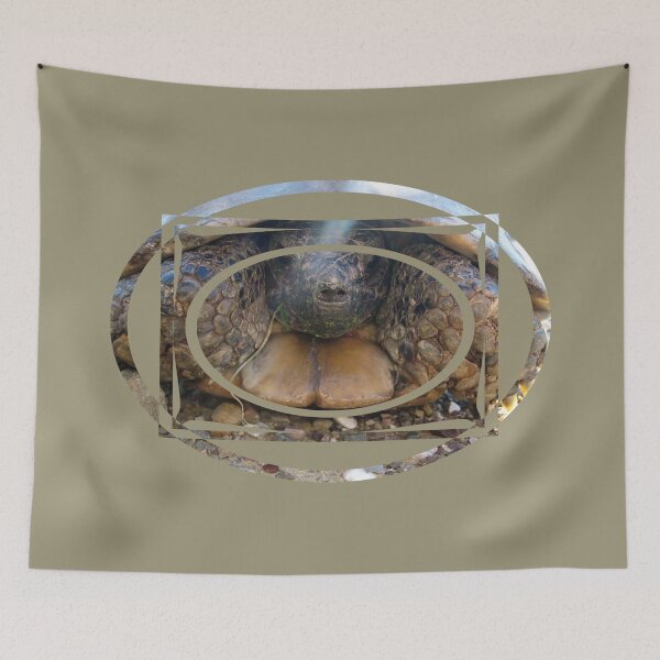 Item preview, shy turtle designed and sold by tbshots.