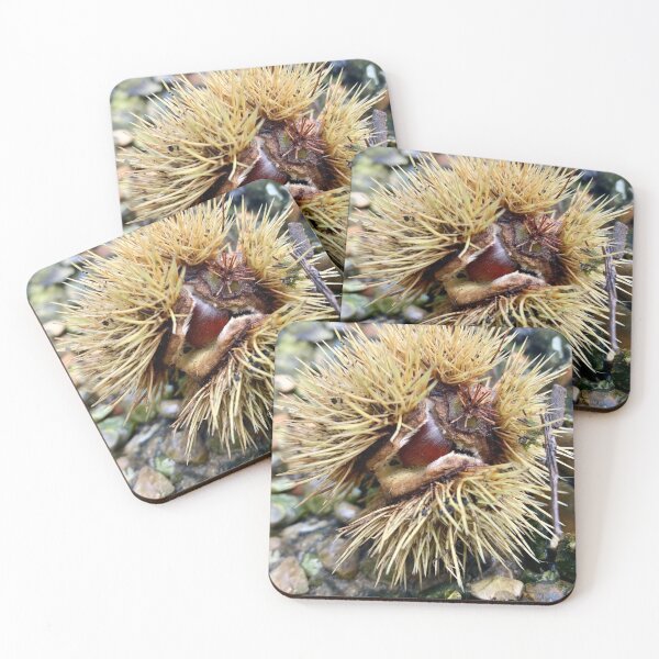 Item preview, Conker photograph designed and sold by TigerLillieArt.