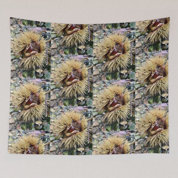 Item preview, Conker photograph designed and sold by TigerLillieArt.