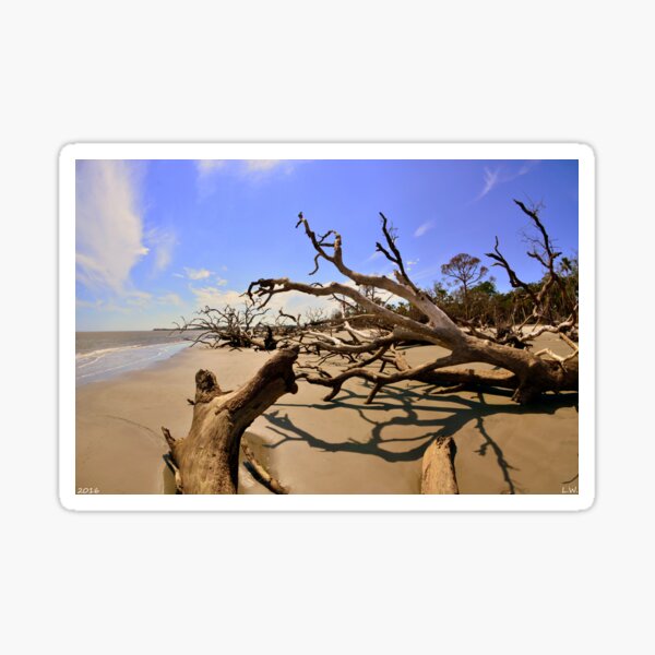 Item preview, Driftwood Beach Hunting Island Beaufort SC designed and sold by LisaWootenPhoto.