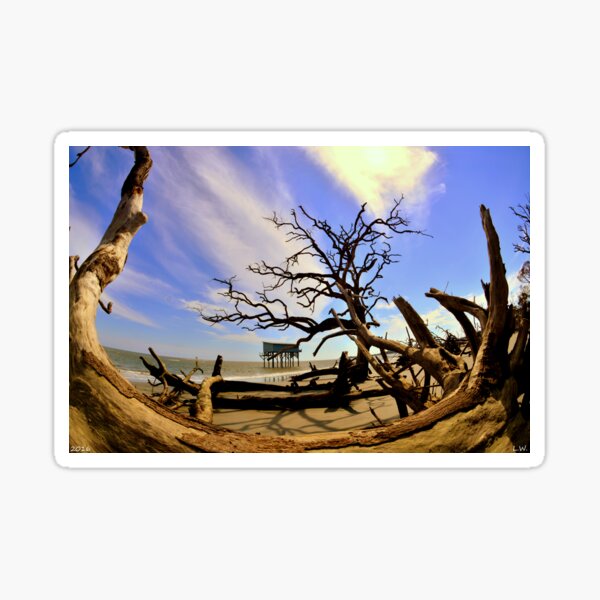 Item preview, Little Blue And Driftwood Beach Hunting Island Beaufort SC designed and sold by LisaWootenPhoto.