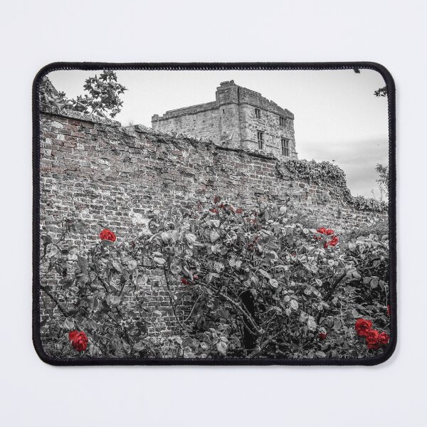 Item preview, CASTLE AND ROSES PRINT designed and sold by lindaully.