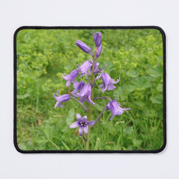 Item preview, Single purple bluebell  designed and sold by LittleBettyMakes.