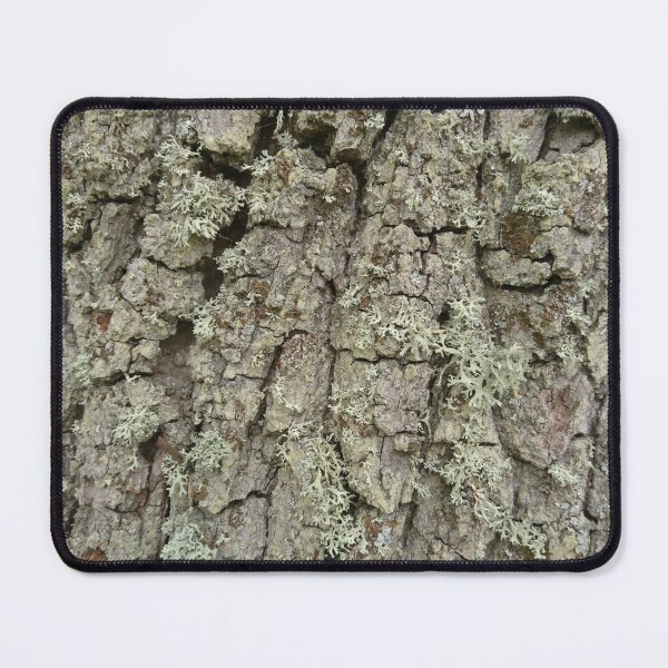 Item preview, Tree bark and lichen texture designed and sold by LittleBettyMakes.