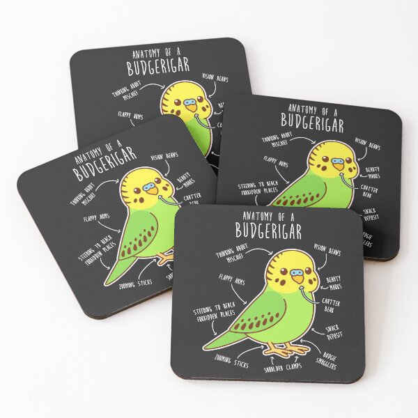 Item preview, Green Budgie Anatomy designed and sold by Clara Hollins.