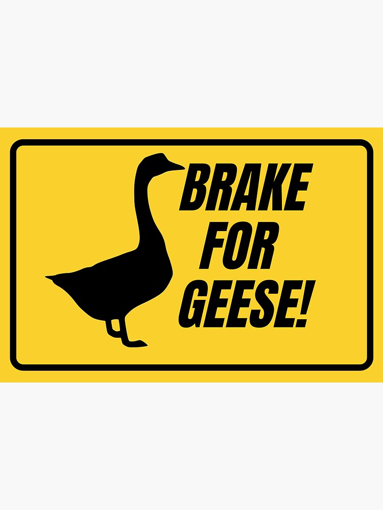 Brake For Geese, Bumper Sticker, Car Sticker, Driving, Watch for