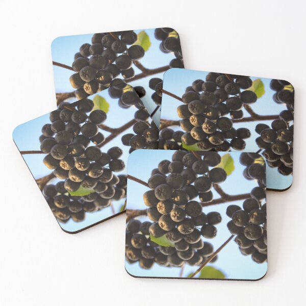 Item preview, Beautiful chokeberry berries designed and sold by Mahirov Shop.