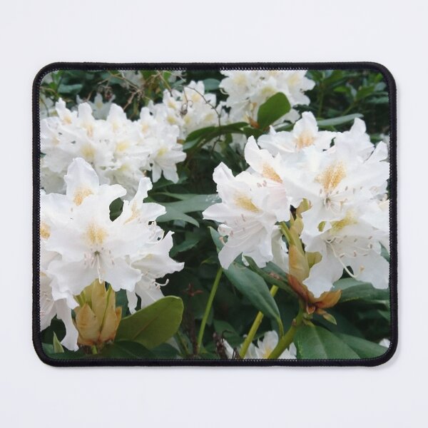 Item preview, White rhododendron designed and sold by LittleBettyMakes.