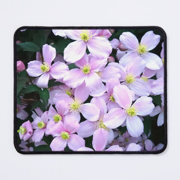 Item preview, Pink clematis flowers designed and sold by LittleBettyMakes.