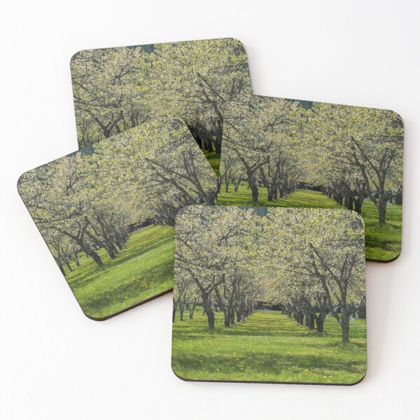 Item preview, Cherry Spring designed and sold by ZWPhotographyCA.