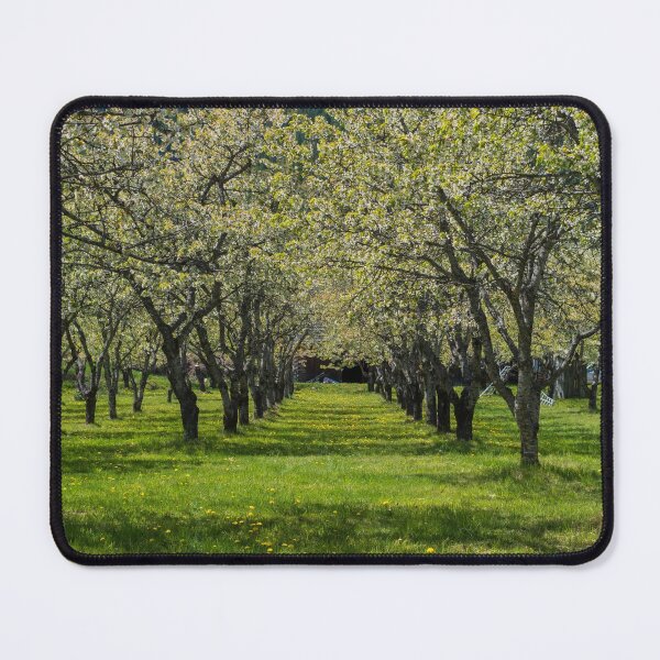 Item preview, Cherry Spring designed and sold by ZWPhotographyCA.
