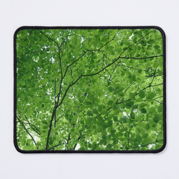 Item preview, Light through green leaves designed and sold by LittleBettyMakes.