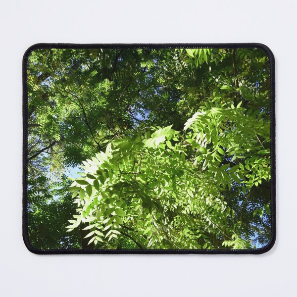 Item preview, Green leafy tree canopy designed and sold by LittleBettyMakes.