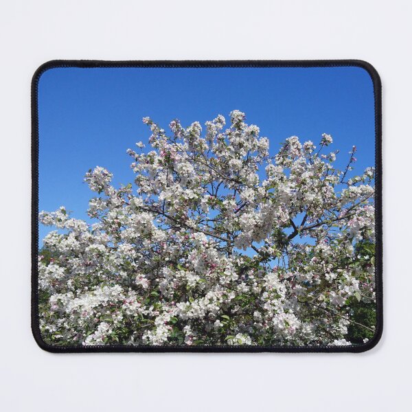 Item preview, White apple blossom, blue sky designed and sold by LittleBettyMakes.