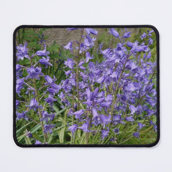 Item preview, Bluebells 3 designed and sold by LittleBettyMakes.