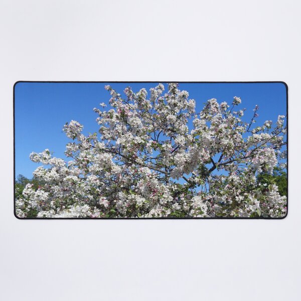 Item preview, White apple blossom, blue sky designed and sold by LittleBettyMakes.