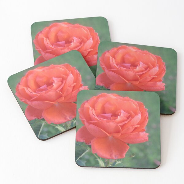 Item preview, Single blooming rose in Safford  designed and sold by Ruth Jolly.