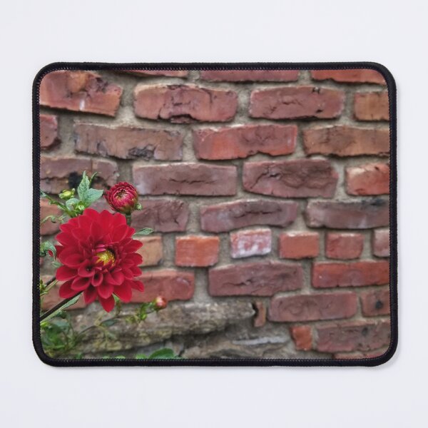 Item preview, Red Flower on Brick designed and sold by SecondsSunshine.