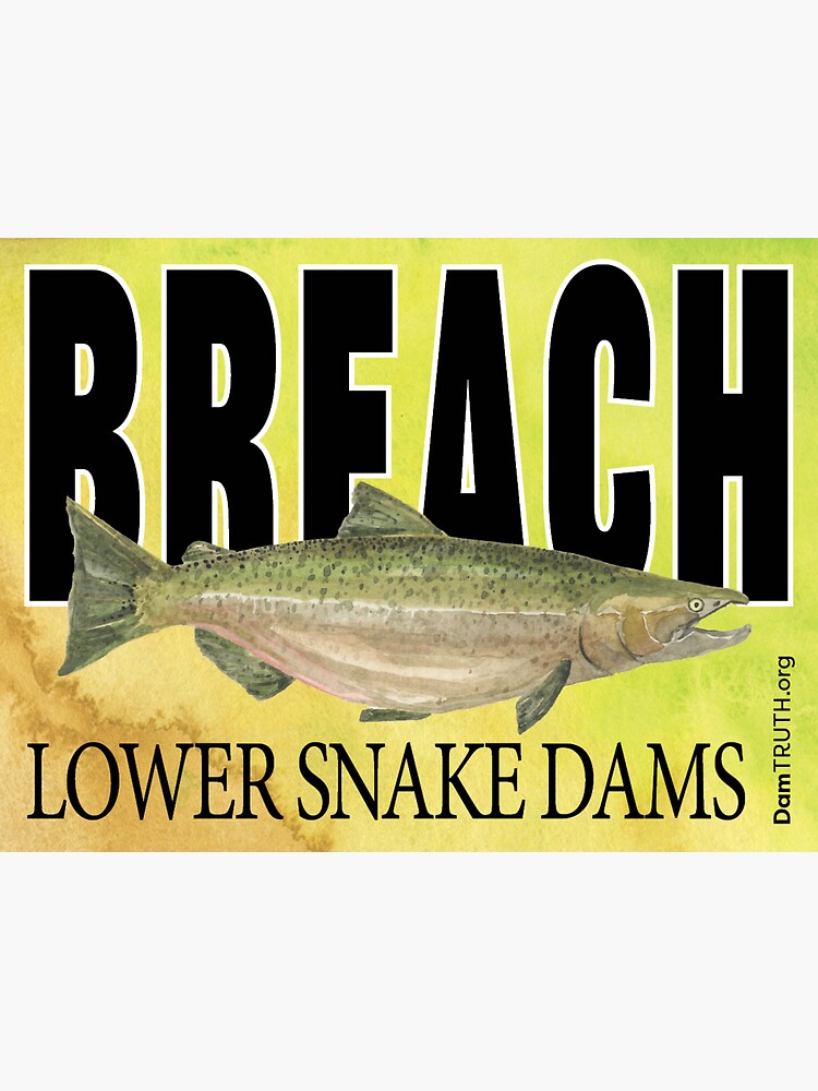 BREACH Lower Snake Dams II by BetseyT