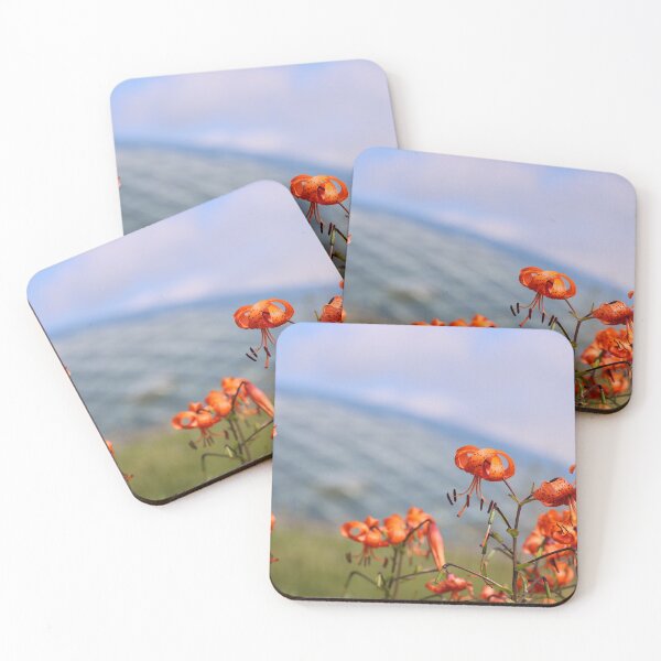 Item preview, Great Glasshouse at the National Botanic Garden of Wales designed and sold by GreyFeatherPhot.