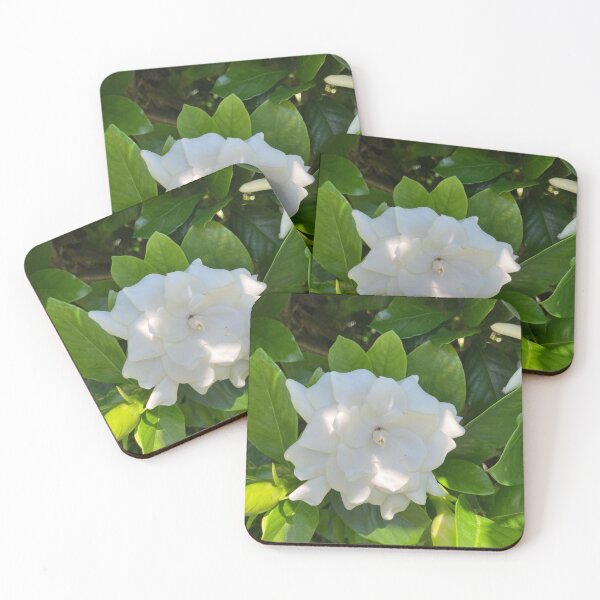 Item preview, Gardenia designed and sold by PemakateCalico.