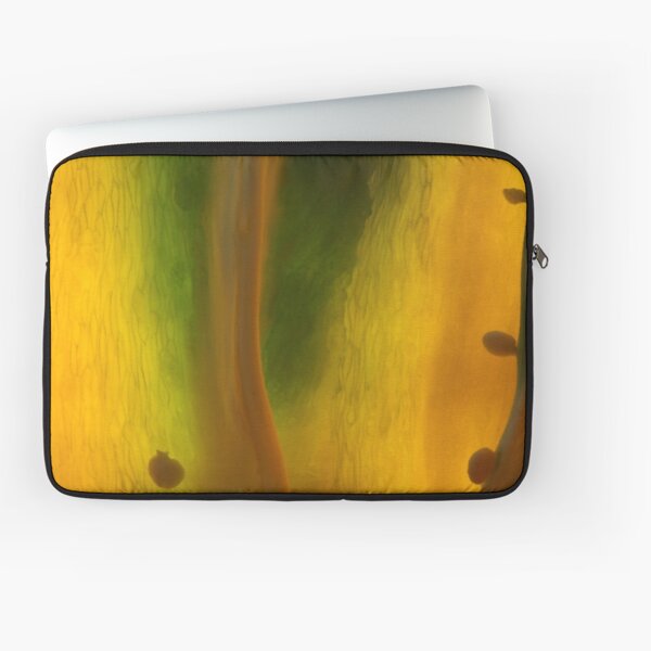 élévation Laptop Sleeve