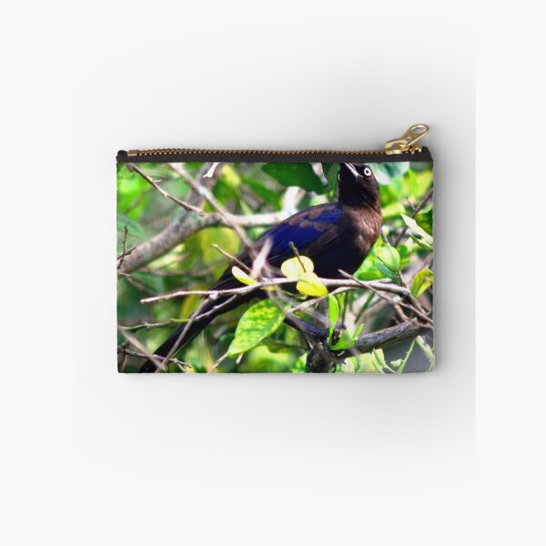 Item preview, Grackle designed and sold by B. Randi Bailey.