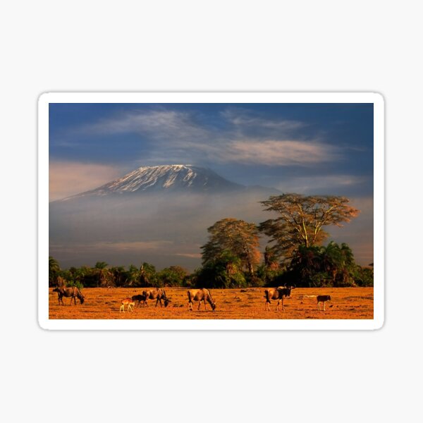 Kilimanjaro Early Morning Light Amboseli NP Kenya Africa. Sticker