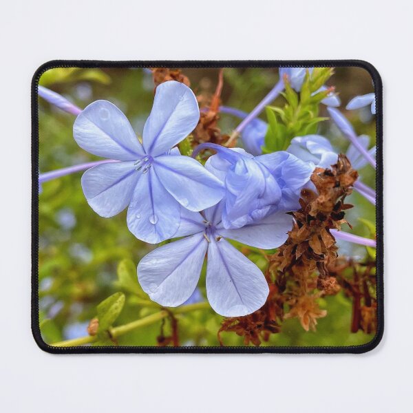Item preview, Morning Dew designed and sold by JMWart.