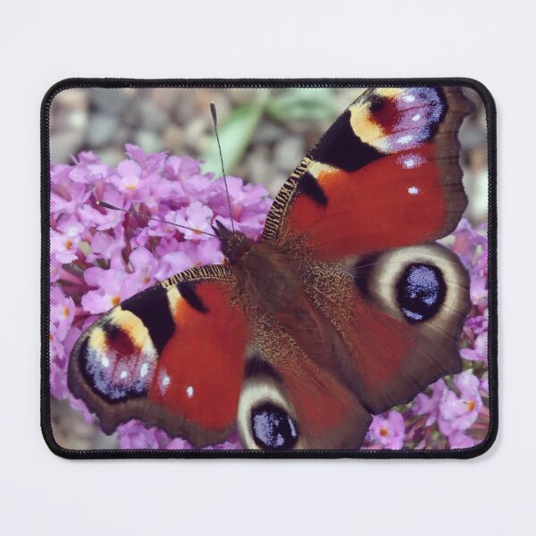 Item preview, European Peacock Butterfly on Buddleia - Aglais Io designed and sold by LittleBettyMakes.