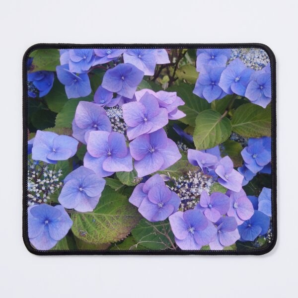 Item preview, Blue hydrangea blooming  designed and sold by LittleBettyMakes.