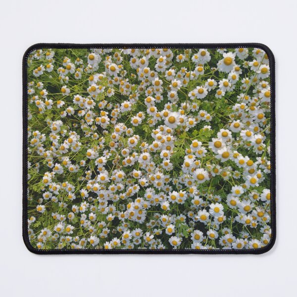 Item preview, Daisies designed and sold by LittleBettyMakes.