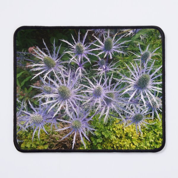 Item preview, Thistles designed and sold by LittleBettyMakes.