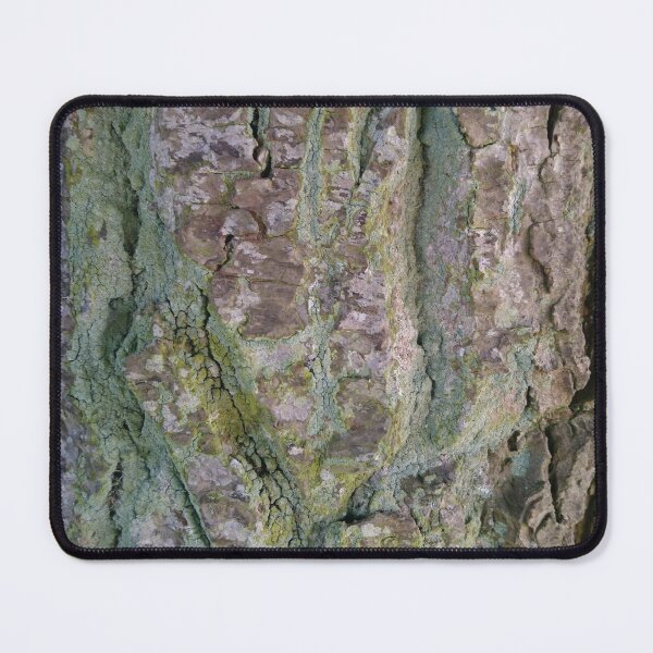 Item preview, Tree bark texture 3 designed and sold by LittleBettyMakes.