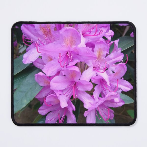Item preview, Rhododendron  designed and sold by LittleBettyMakes.