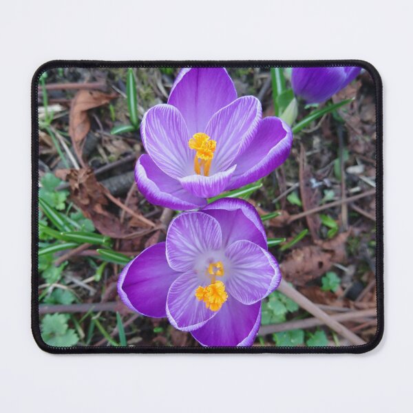 Item preview, Purple crocus #3 designed and sold by LittleBettyMakes.