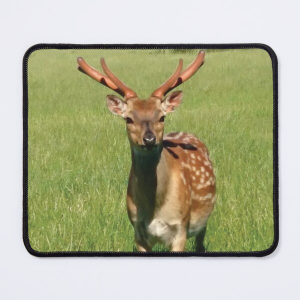 Item preview, Dappled deer designed and sold by LittleBettyMakes.