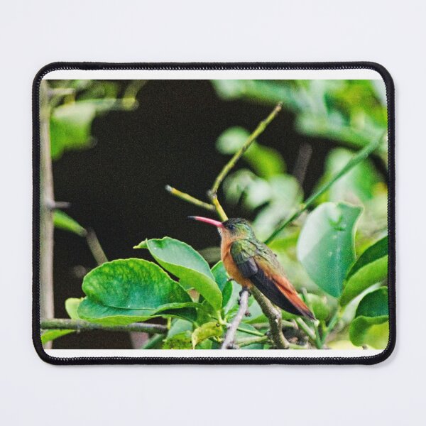 Item preview, Elb hummingbird designed and sold by pcfyi.