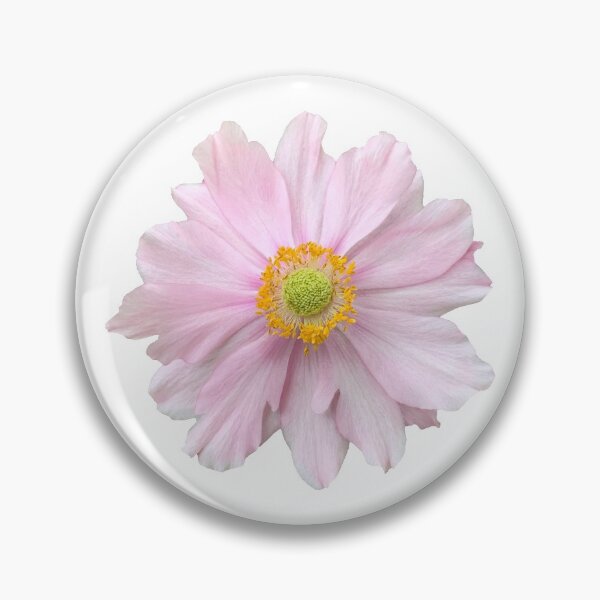 Item preview, Pink Anemone Flower Still Life Floral Photography designed and sold by CottoVerdi.