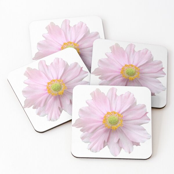 Item preview, Pink Anemone Flower Still Life Floral Photography designed and sold by CottoVerdi.