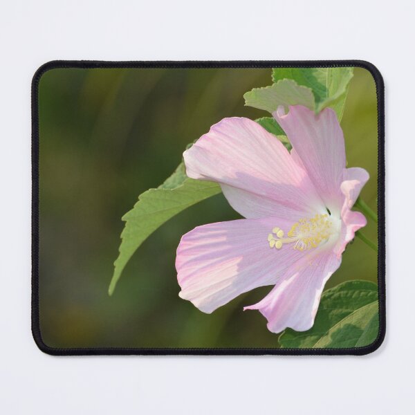 Item preview, Pink Hibiscus designed and sold by Kathleen Brant.