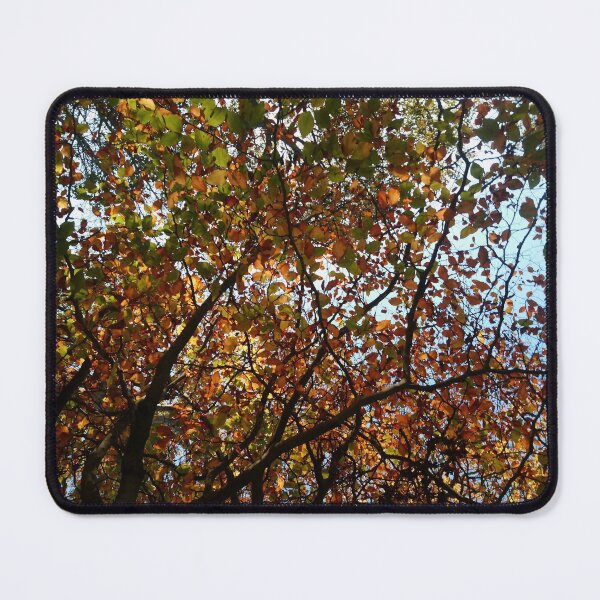 Item preview, Stylised fall leaves designed and sold by LittleBettyMakes.