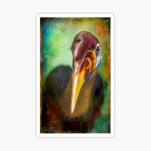 Item preview, Finer Feathered Friends: Red knobbed Hornbill designed and sold by alan shapiro.