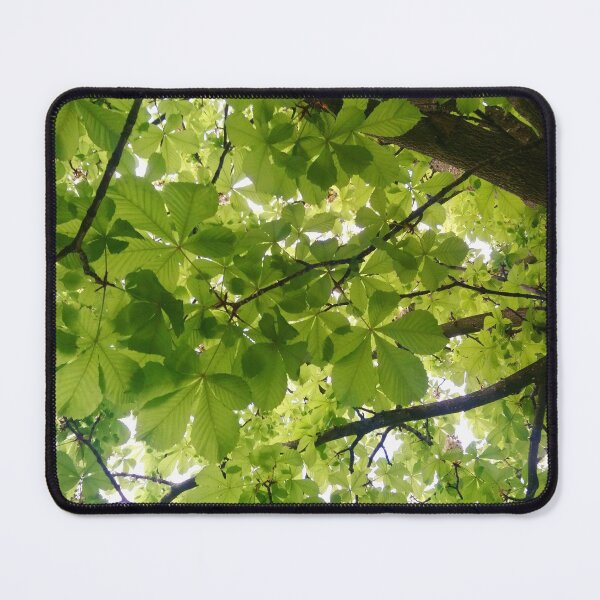 Item preview, Light through green leafy canopy designed and sold by LittleBettyMakes.